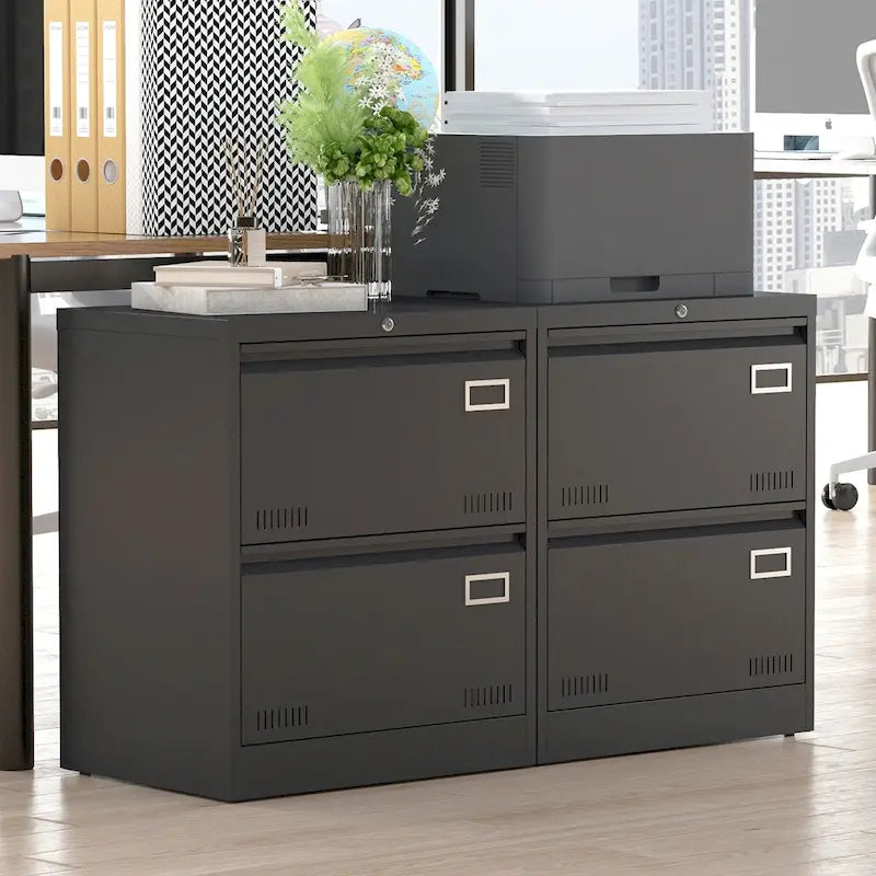 2-Drawer Locking Metal Vertical File Cabinet for Office